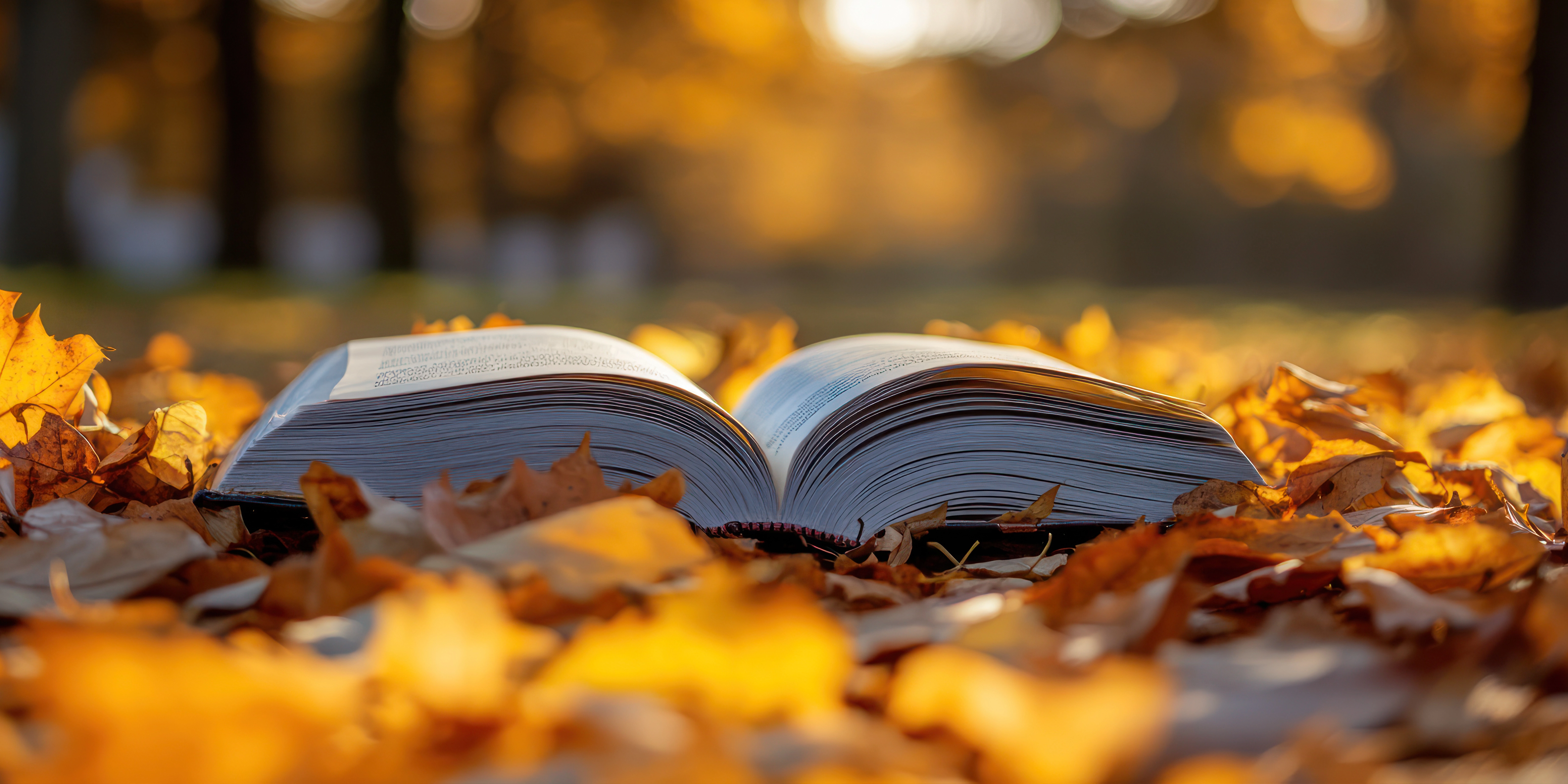 Barış Yapı Hizmetleri - Hikayemiz